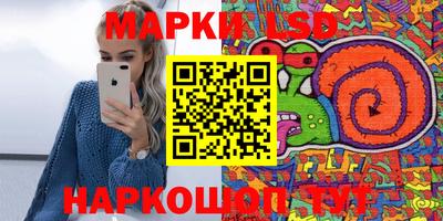 шишки Боровичи