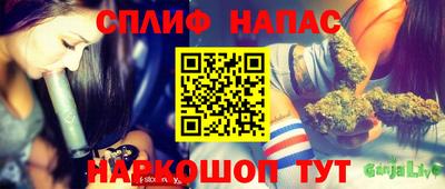 шишки Боровичи
