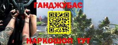 шишки Боровичи